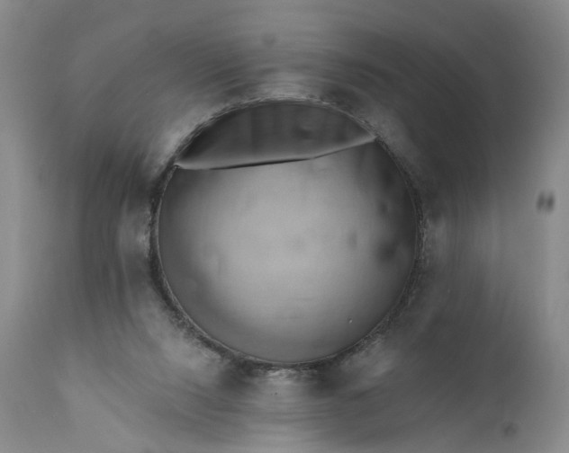 X0000111360064200907241232
