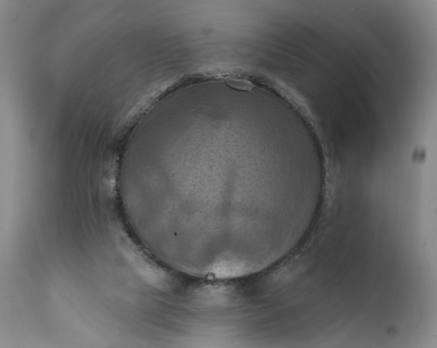 X0000111360065200907241232