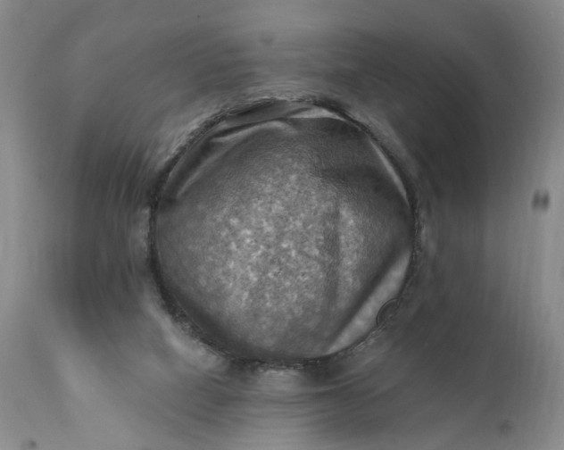 X0000111360066200907241232