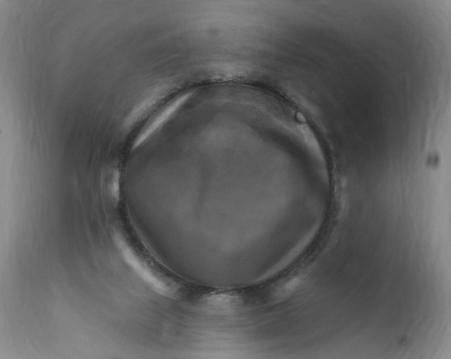 X0000111360067200907241232