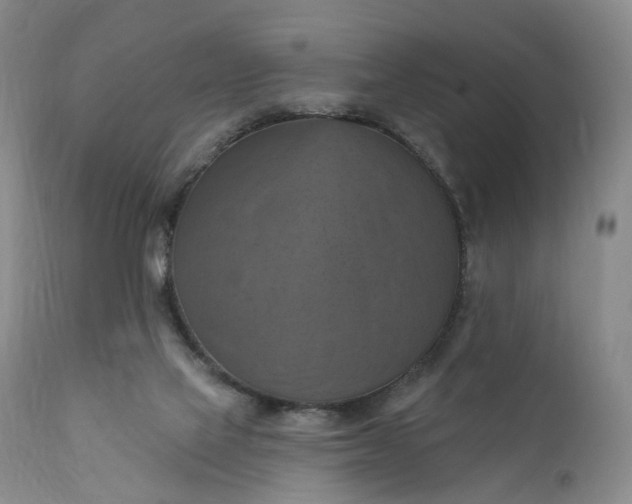 X0000111360069200907241232