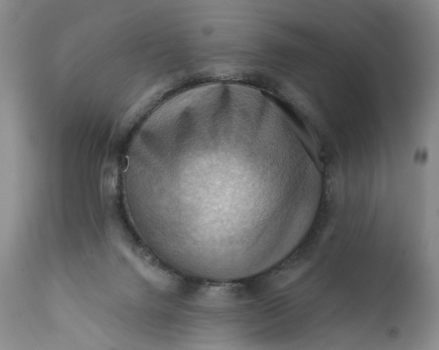 X0000111360072200907241232