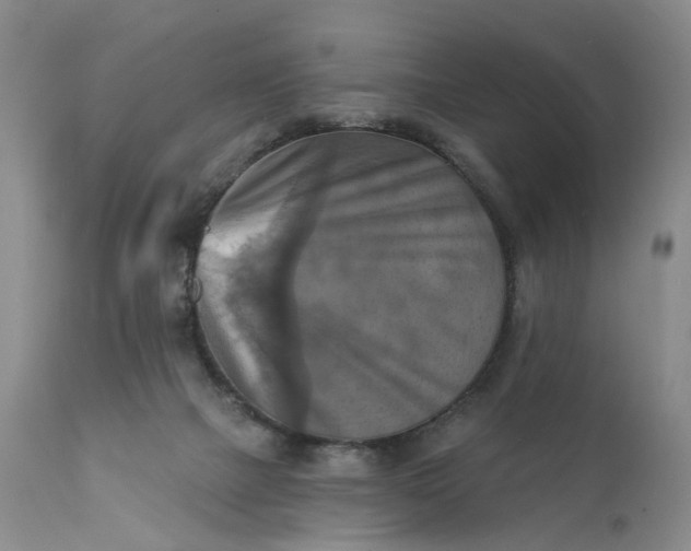 X0000111360073200907241232
