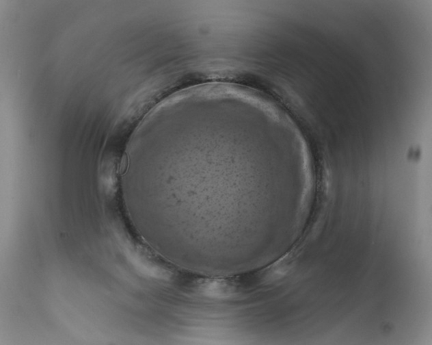 X0000111360074200907241232