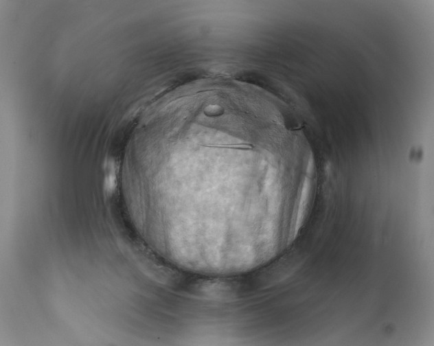 X0000111360075200907241232