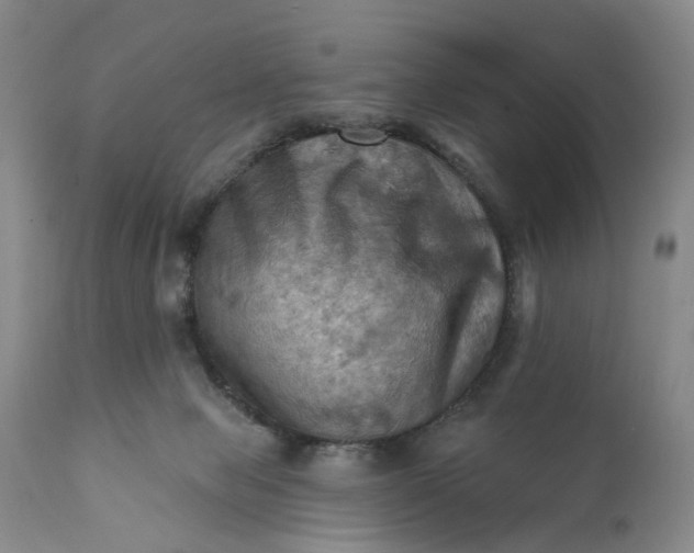 X0000111360077200907241232