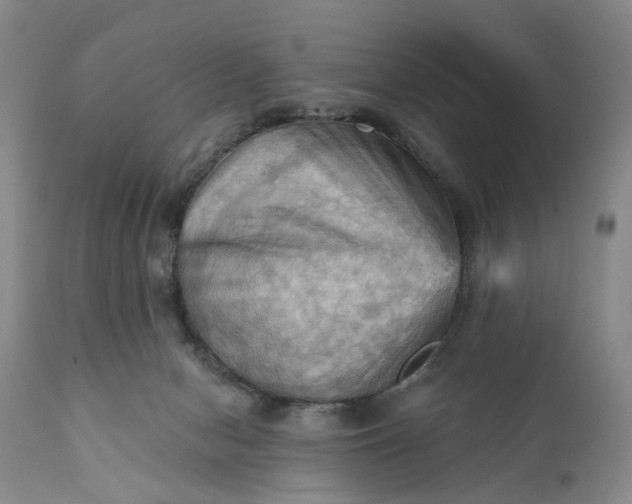 X0000111360078200907241232