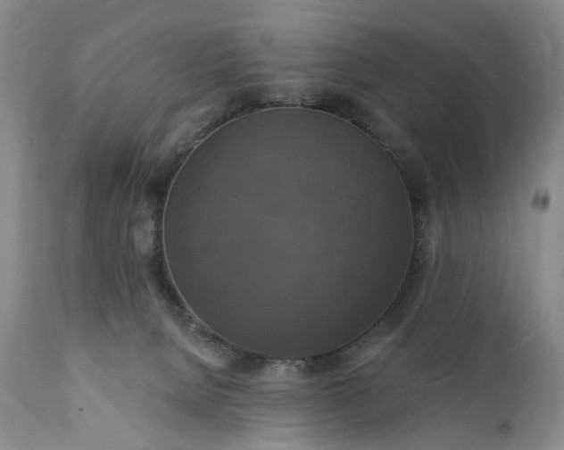 X0000111360080200907241232