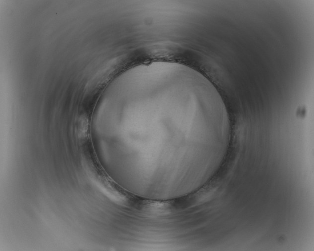 X0000111360081200907241232