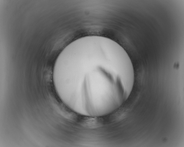 X0000111360083200907241232