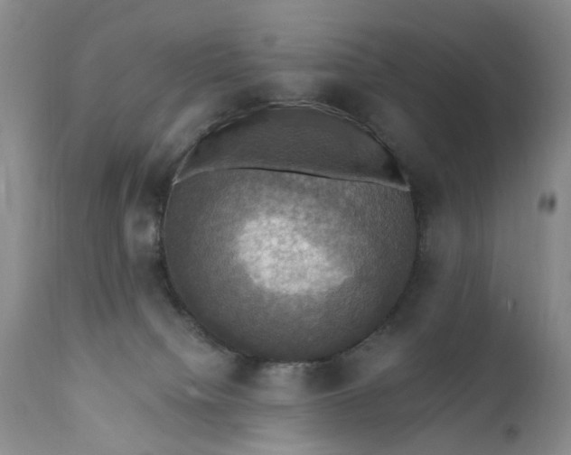 X0000111360084200907241232