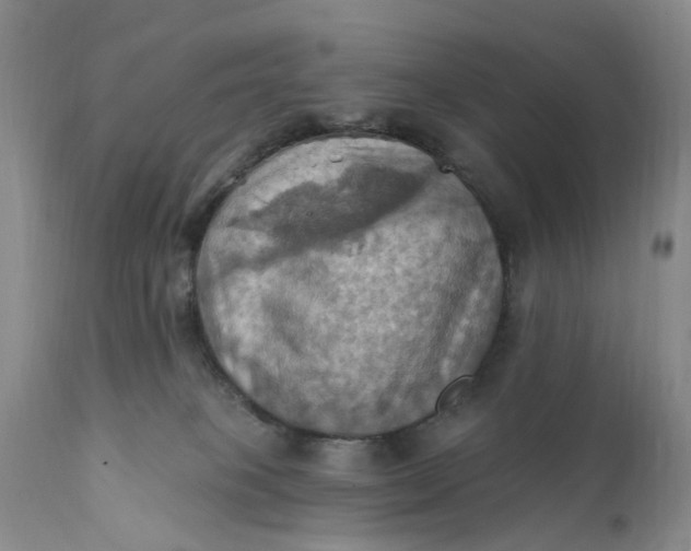 X0000111360085200907241232