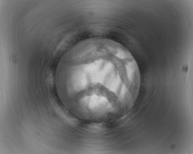 X0000111360086200907241232