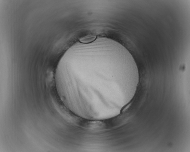 X0000111360087200907241232