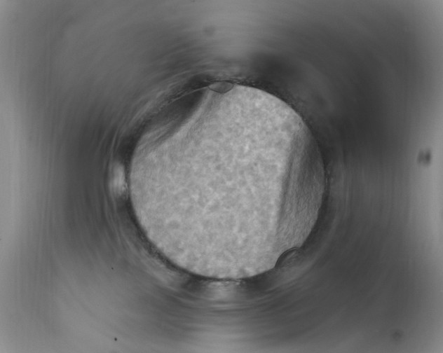 X0000111360089200907241232