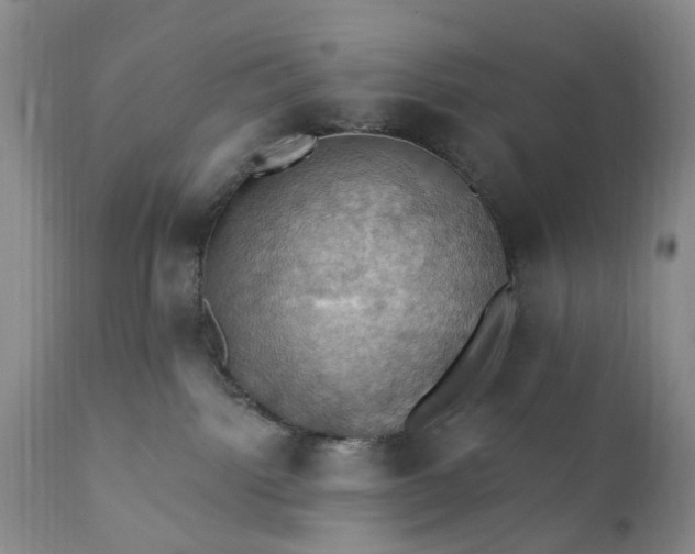 X0000111360092200907241232