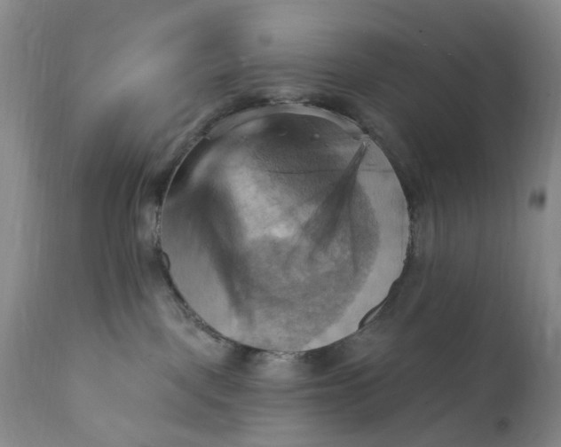 X0000111360093200907241232