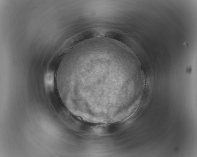 X0000111360094200907241232