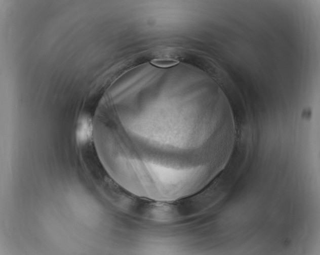 X0000111360095200907241232