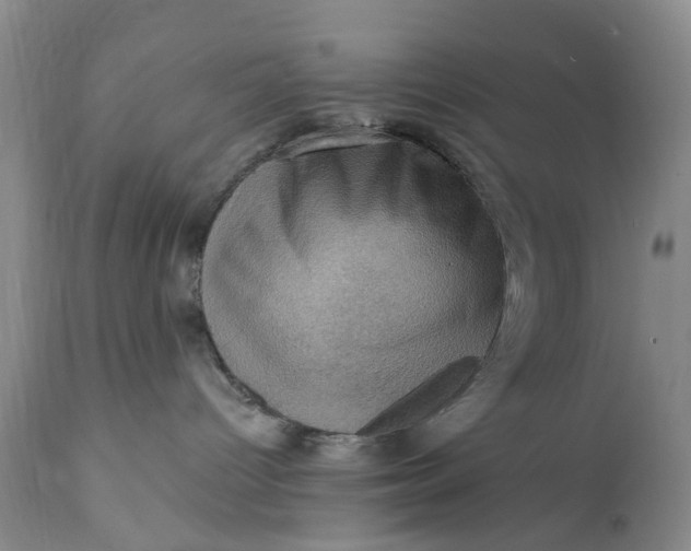 X0000111360096200907241232