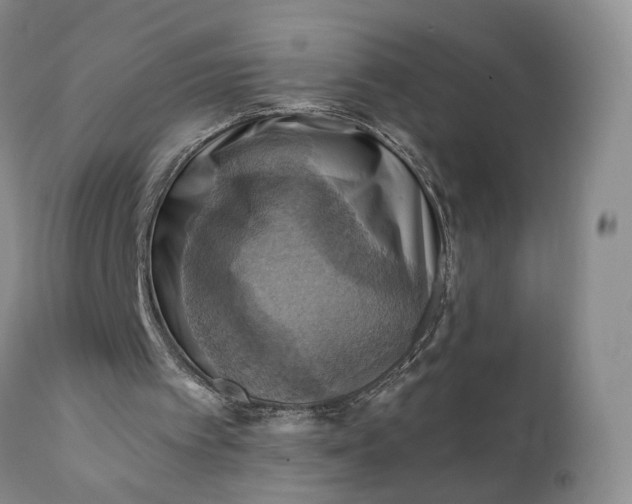 X0000111360097200907241231