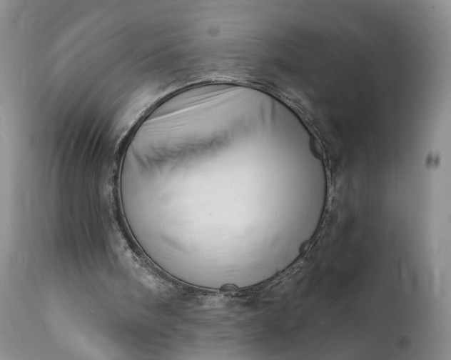 X0000111360098200907241231