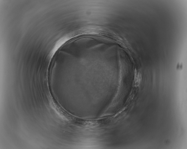 X0000111360099200907241231