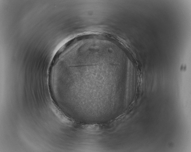 X0000111360100200907241231