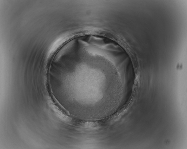 X0000111360101200907241231