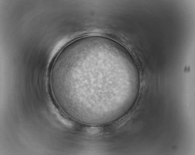 X0000111360102200907241231