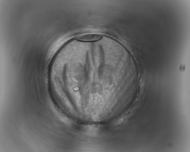 X0000111360103200907241231