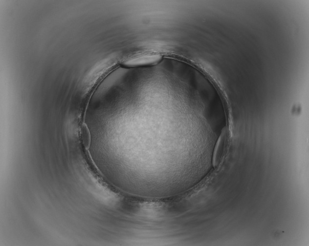 X0000111360105200907241231