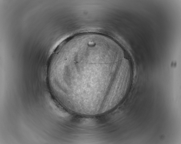 X0000111360107200907241231