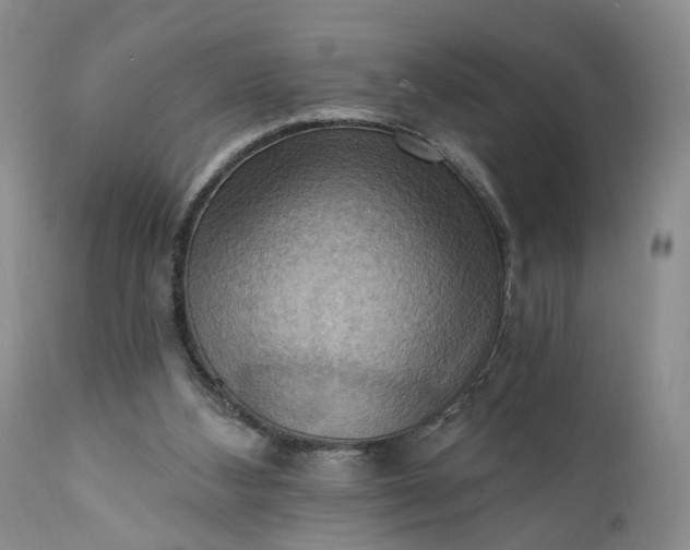 X0000111360108200907241231