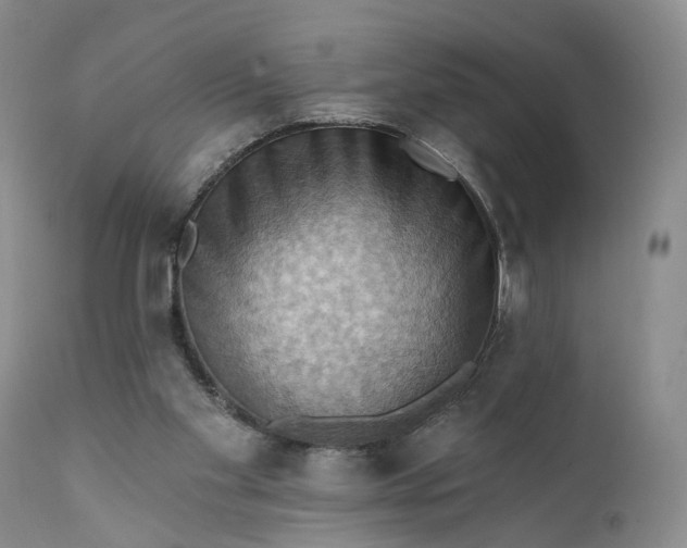 X0000111360109200907241231