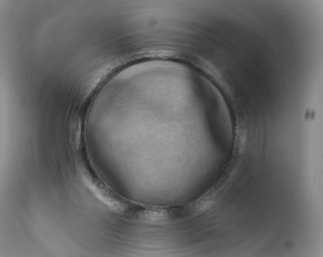 X0000111360110200907241231