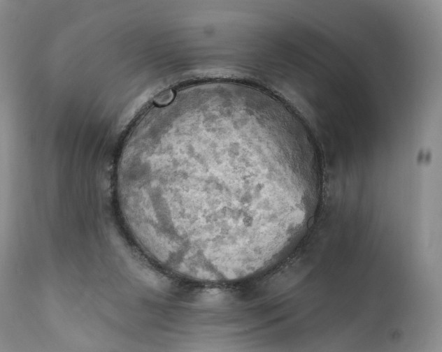 X0000111360111200907241231