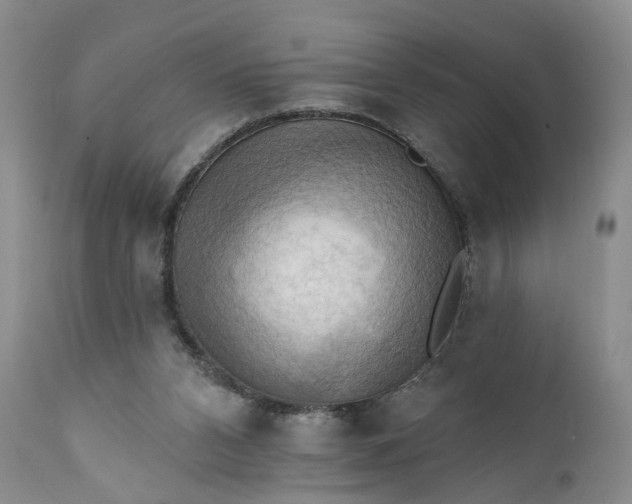 X0000111360112200907241231
