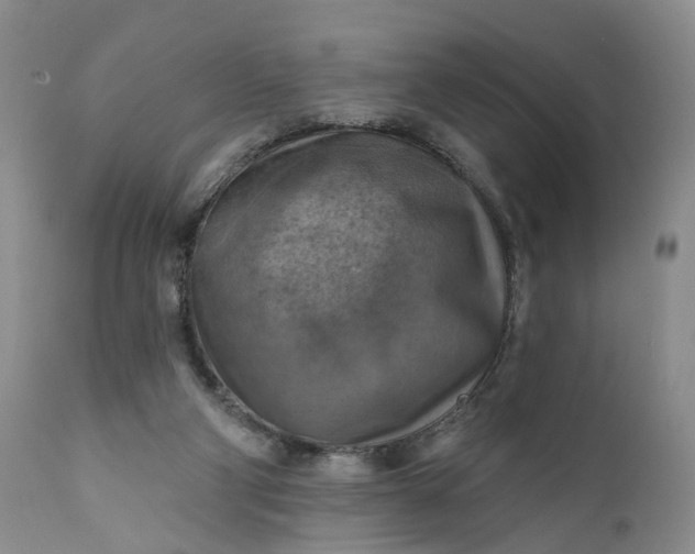 X0000111360114200907241231
