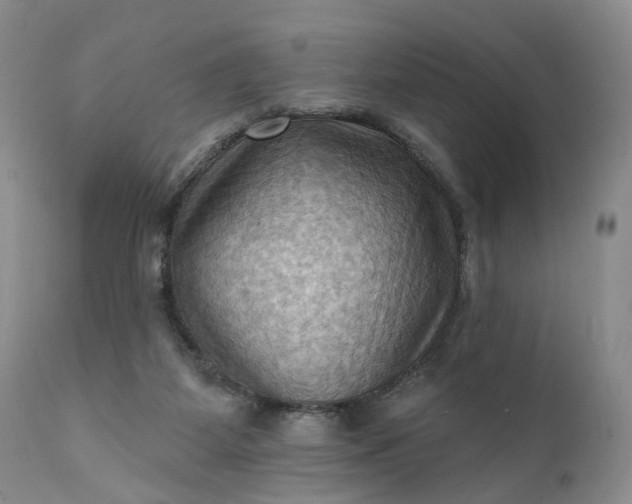 X0000111360115200907241231