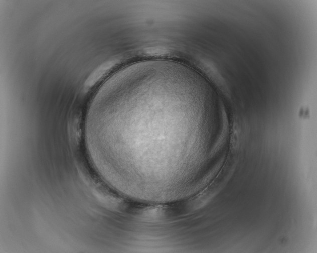 X0000111360116200907241231