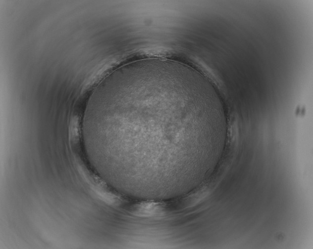 X0000111360117200907241231