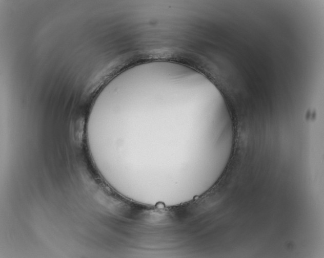X0000111360118200907241231