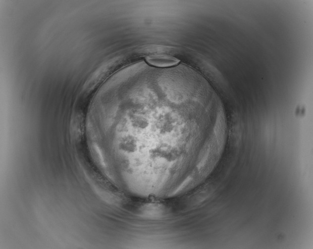 X0000111360119200907241231