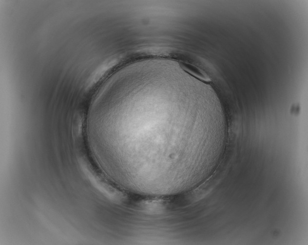 X0000111360120200907241231