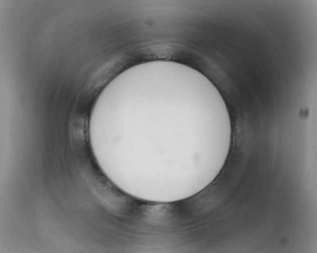 X0000111360122200907241231