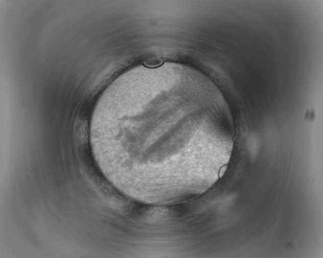 X0000111360123200907241231