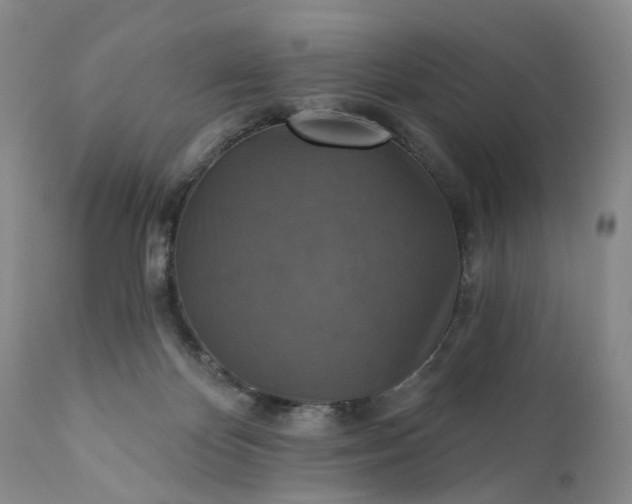 X0000111360124200907241231