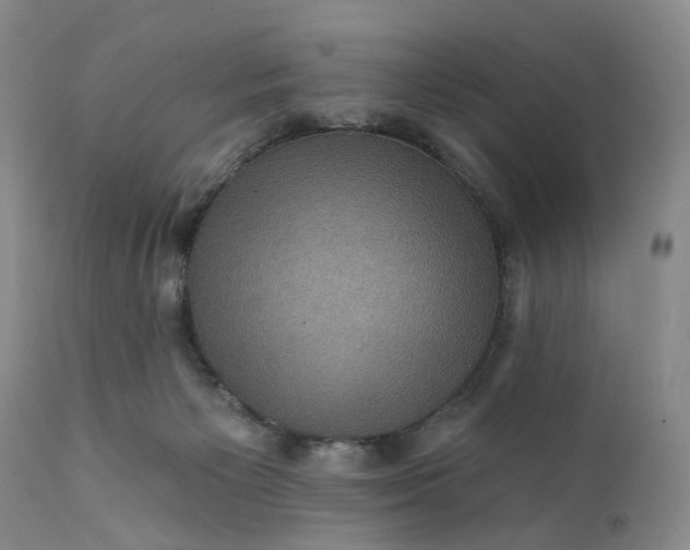 X0000111360125200907241231