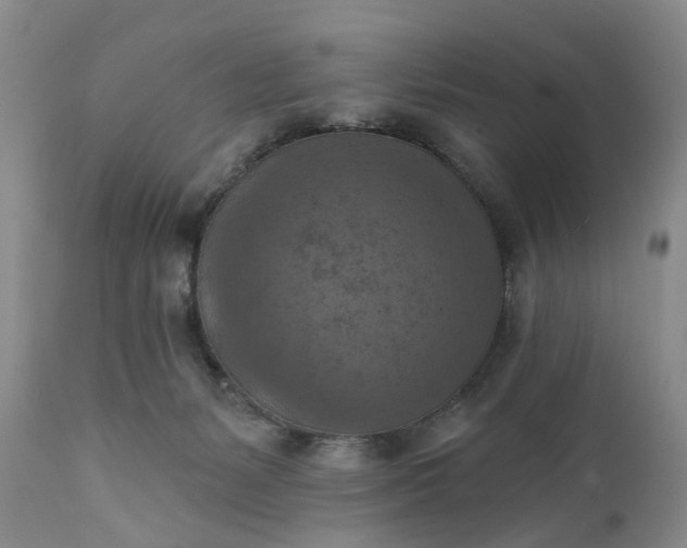 X0000111360127200907241231